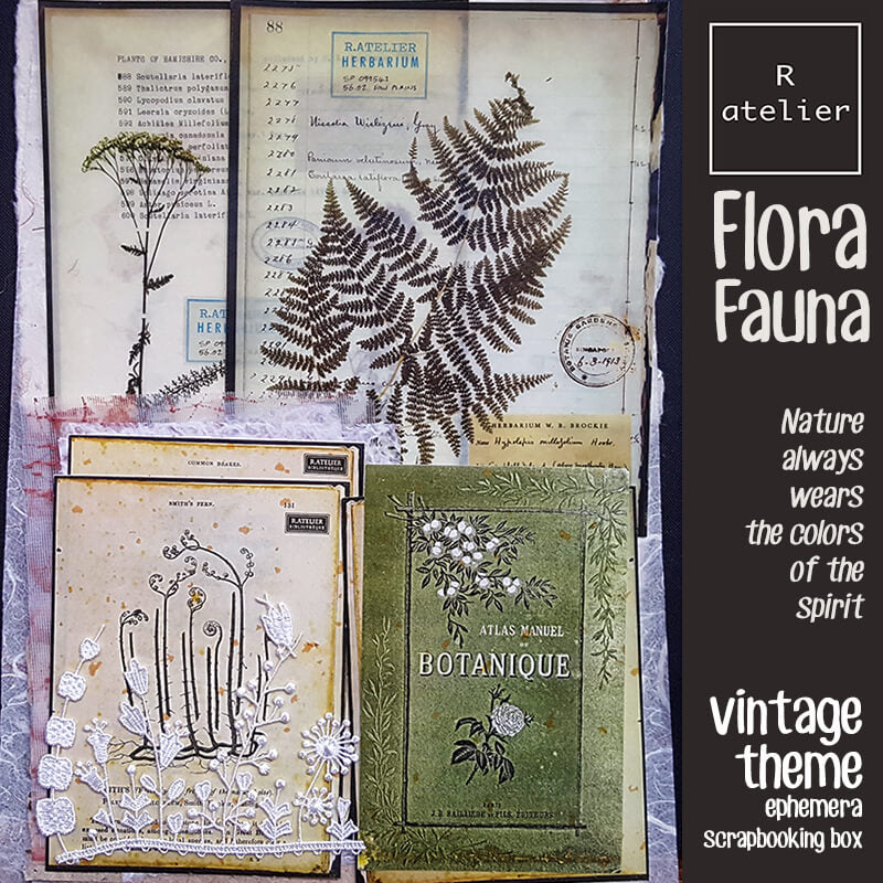 Flora and Fauna Ephemera Scrapbooking Box