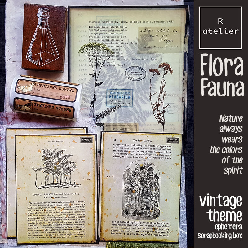 Flora and Fauna Ephemera Scrapbooking Box