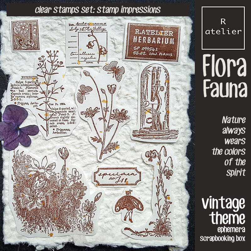 Flora and Fauna Ephemera Scrapbooking Box