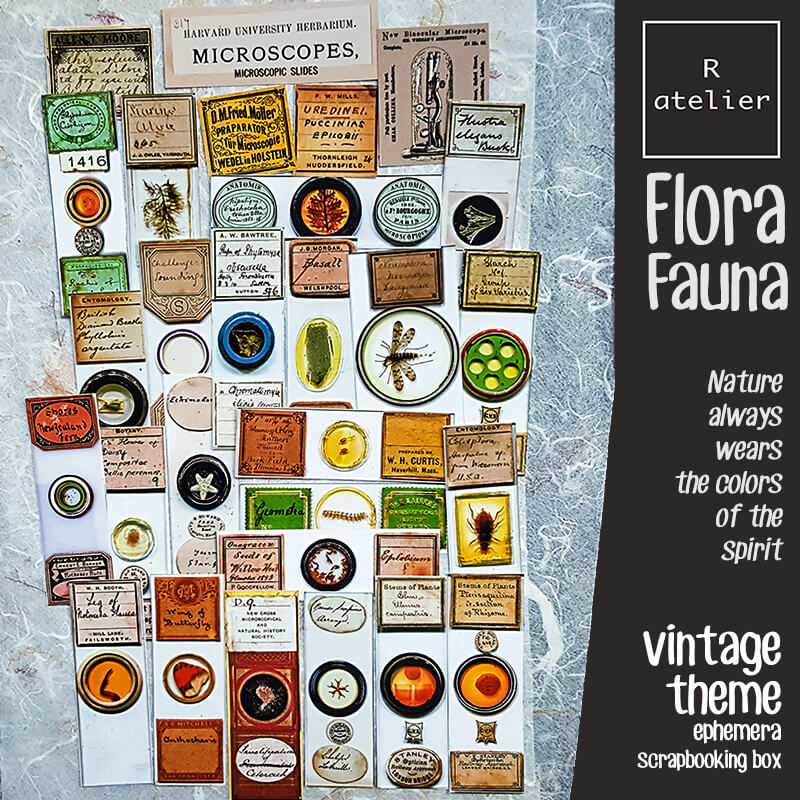 Flora and Fauna Ephemera Scrapbooking Box