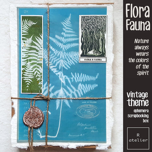 Flora Fauna Botanical Specimen Junk Journal Ephemera Scrapbooking Box