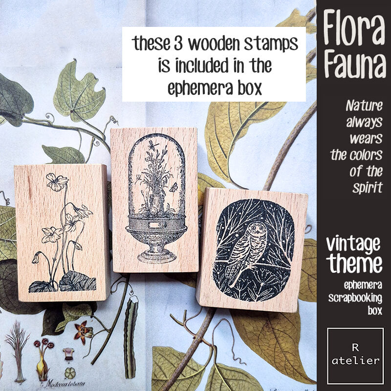 Flora Fauna Botanical Specimen Junk Journal Ephemera Scrapbooking Box