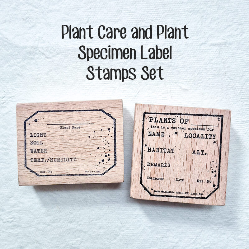 Flora Fauna Botanical Specimen Junk Journal Ephemera Scrapbooking Box
