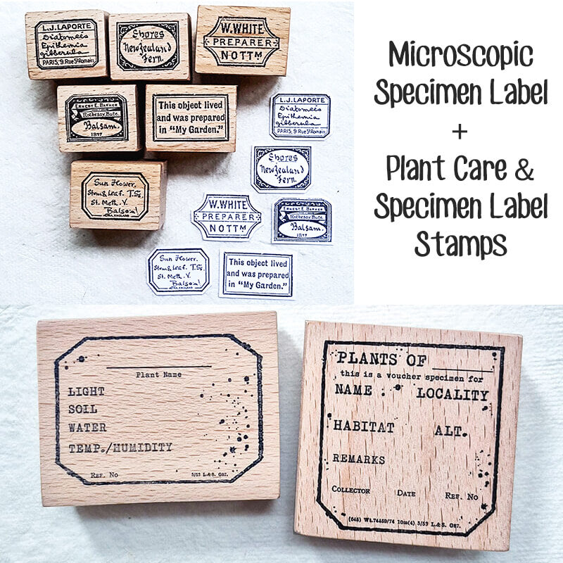 Flora Fauna Botanical Specimen Junk Journal Ephemera Scrapbooking Box