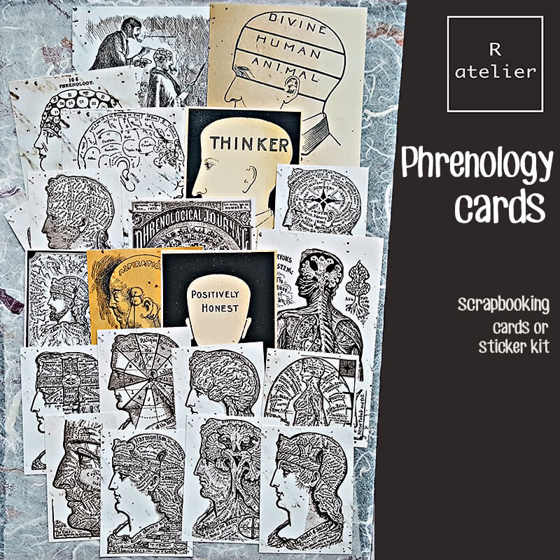 Phrenology Scrapbooking Cards and Stickers Ephemera Kit