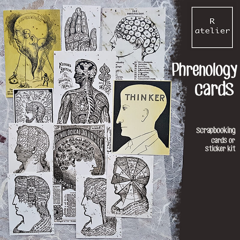 Phrenology Scrapbooking Cards and Stickers Ephemera Kit