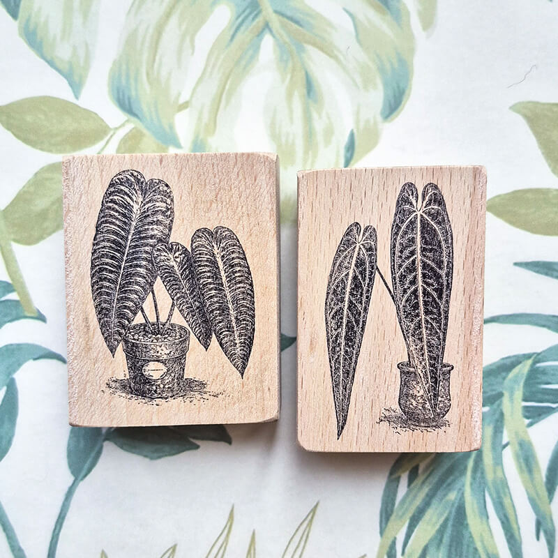 Tropical Indoor Aroids Plants Scrapbooking Wooden Stamp
