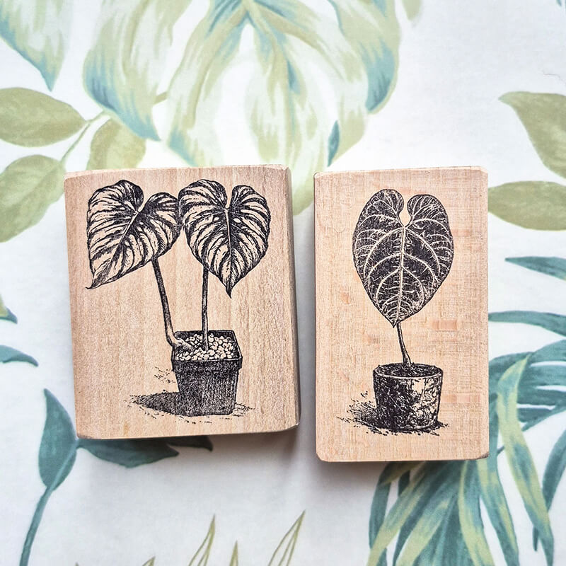 Tropical Indoor Aroids Plants Scrapbooking Wooden Stamp