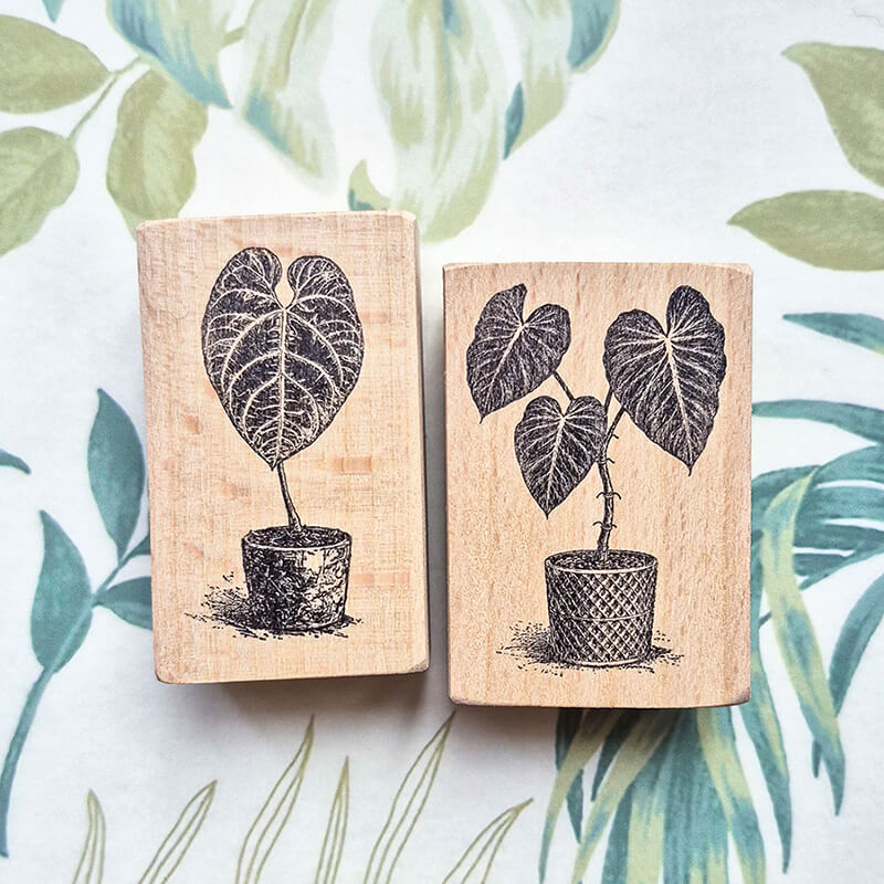 Tropical Indoor Aroids Plants Scrapbooking Wooden Stamp
