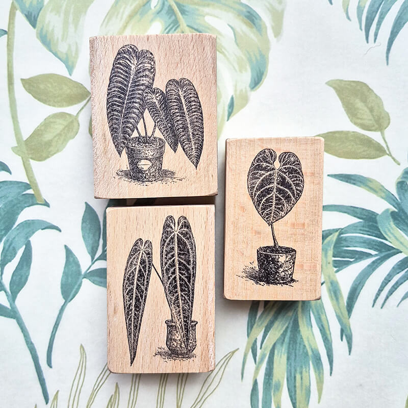 Tropical Indoor Aroids Plants Scrapbooking Wooden Stamp