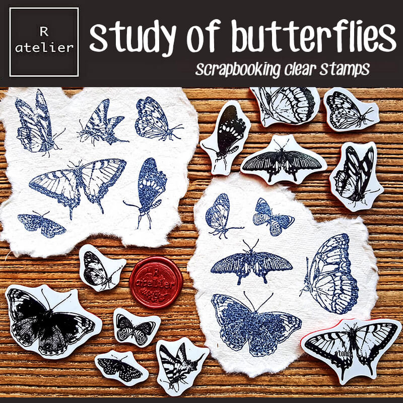 study of butterflies Scrapbooking Cling Stamps