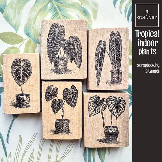 Tropical Indoor Aroids Plants Scrapbooking Wooden Stamp