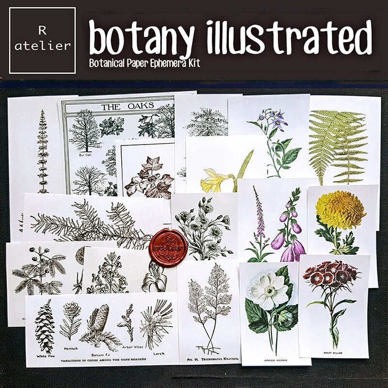 Botany Illustrated Scrapbooking Paper Ephemera Kit