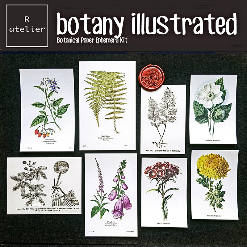 Botany Illustrated Scrapbooking Paper Ephemera Kit