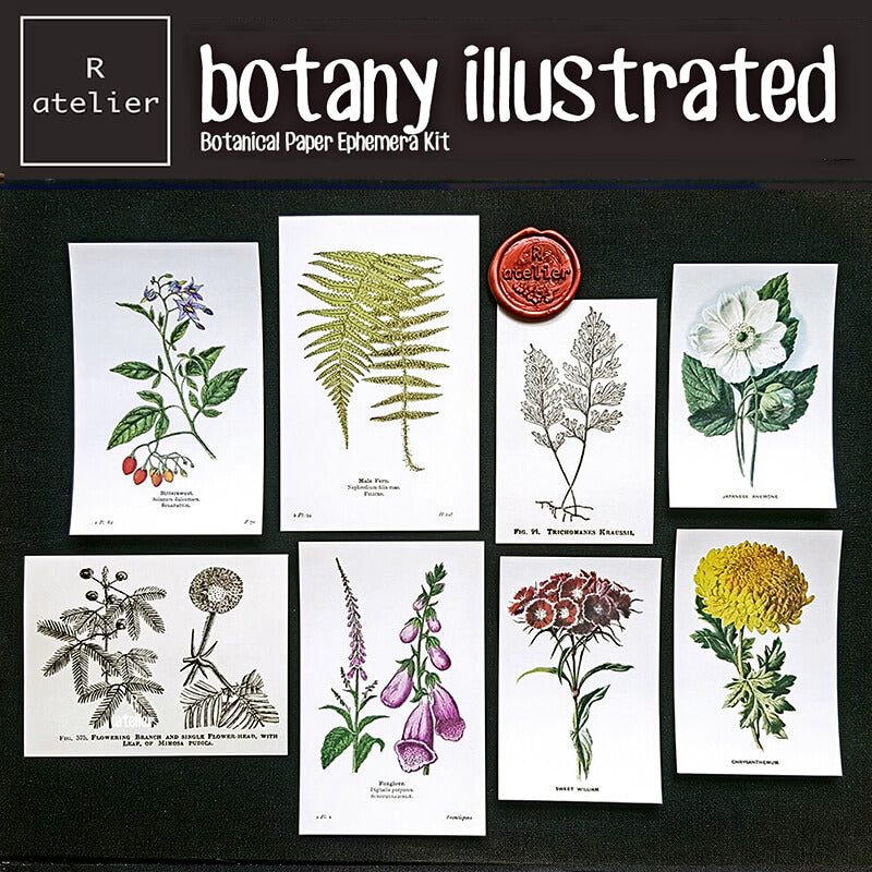Botany Illustrated Scrapbooking Paper Ephemera Kit – R.atelier