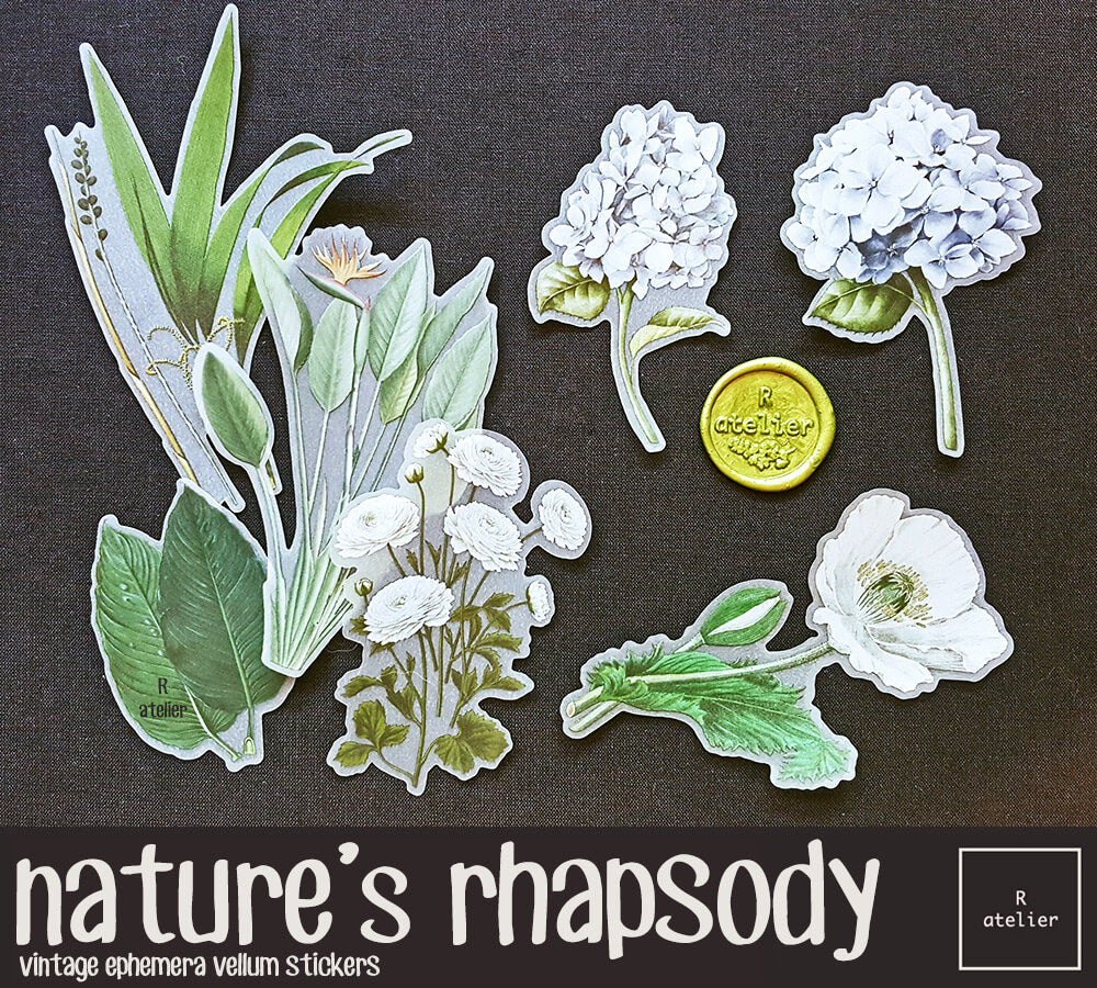 nature's rhapsody | Vellum Stickers