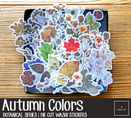 Autumn Colors | Die Cut Washi Stickers
