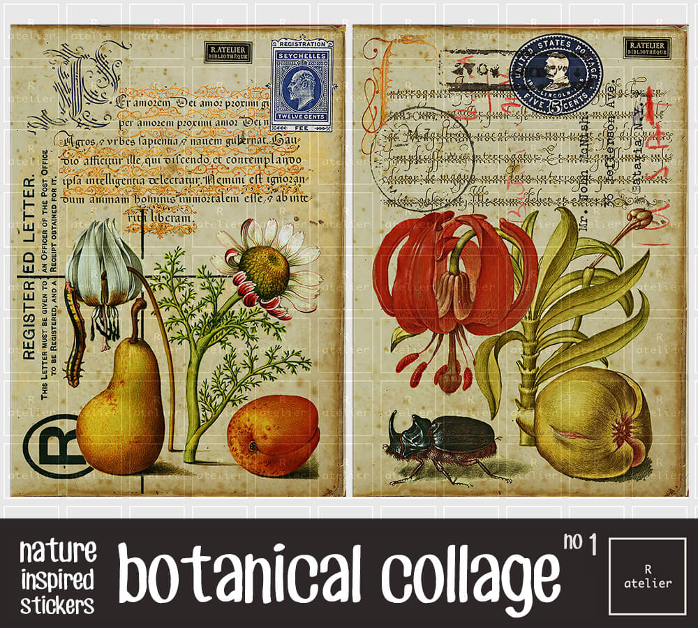 Botanical Collage Series | Scrapbooking Stickers Kit