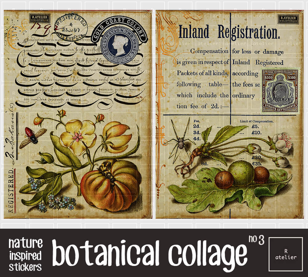 Botanical Collage Series | Scrapbooking Stickers Kit