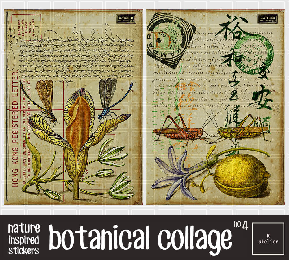 Botanical Collage Series | Scrapbooking Stickers Kit