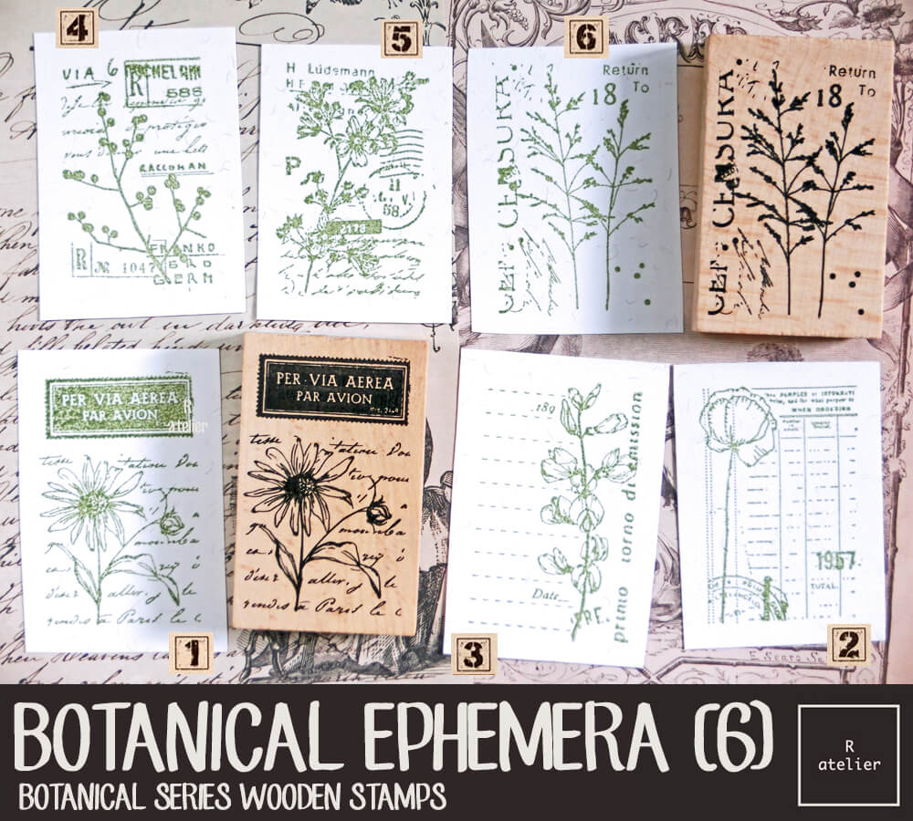 Botanical Ephemera (6) Wooden Stamps