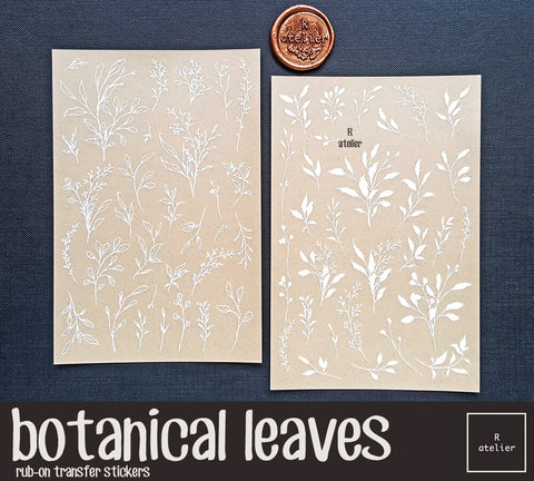 botanical specimens  Rub-On Transfer Stickers