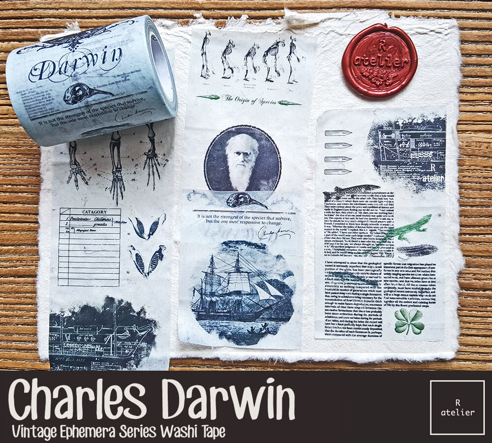 Charles Darwin Washi