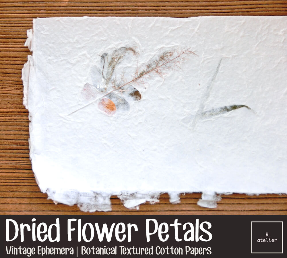 Dried Flower Petals (1) | Botanical Textured Cotton Papers