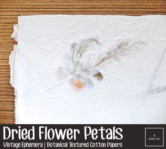 Dried Flower Petals (1) | Botanical Textured Cotton Papers