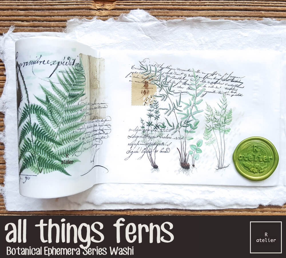 All Things Ferns Washi