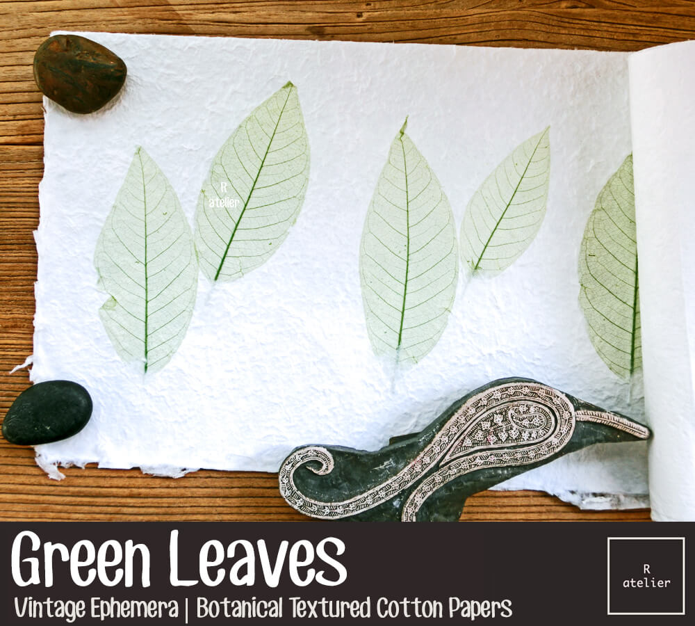 Green Leaves | Botanical Textured Cotton Papers