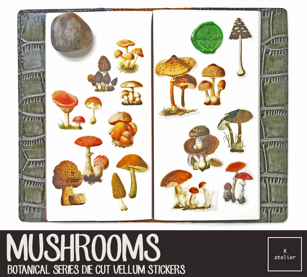 Mushrooms | Die Cut Vellum Stickers