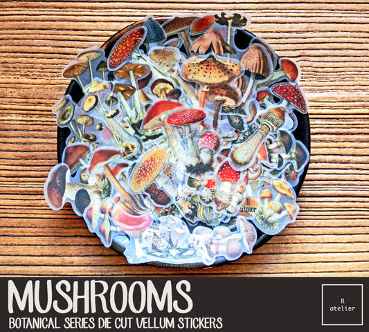 Mushrooms | Die Cut Vellum Stickers