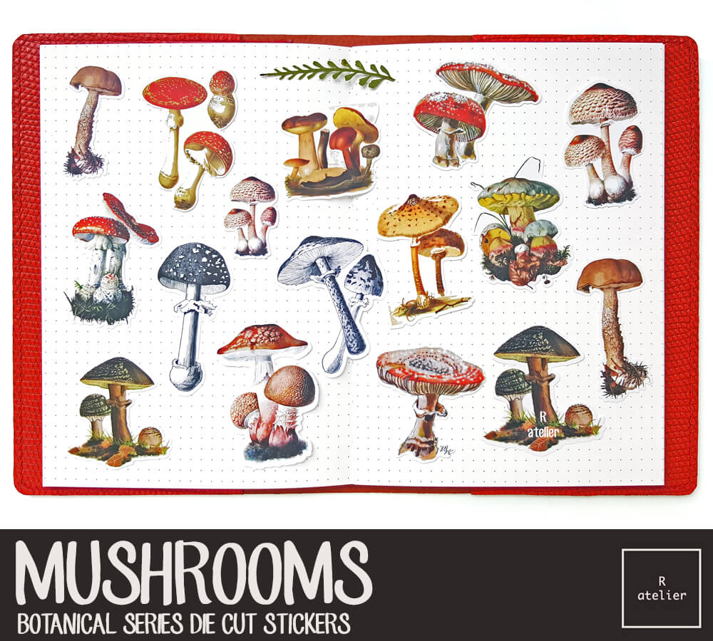 Mushrooms | Die Cut Stickers