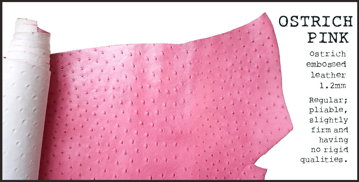 R.atelier Leather | Ostrich Pink