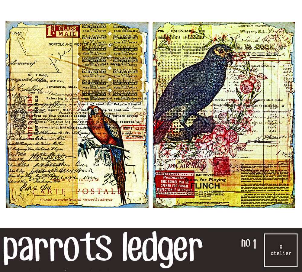 Parrots Ledgers | Scrapbooking Washi Stickers