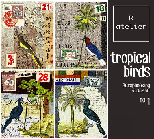 Tropical Birds | Scrapbooking Washi Stickers