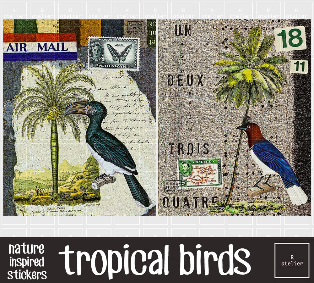 Tropical Birds | Scrapbooking Washi Stickers