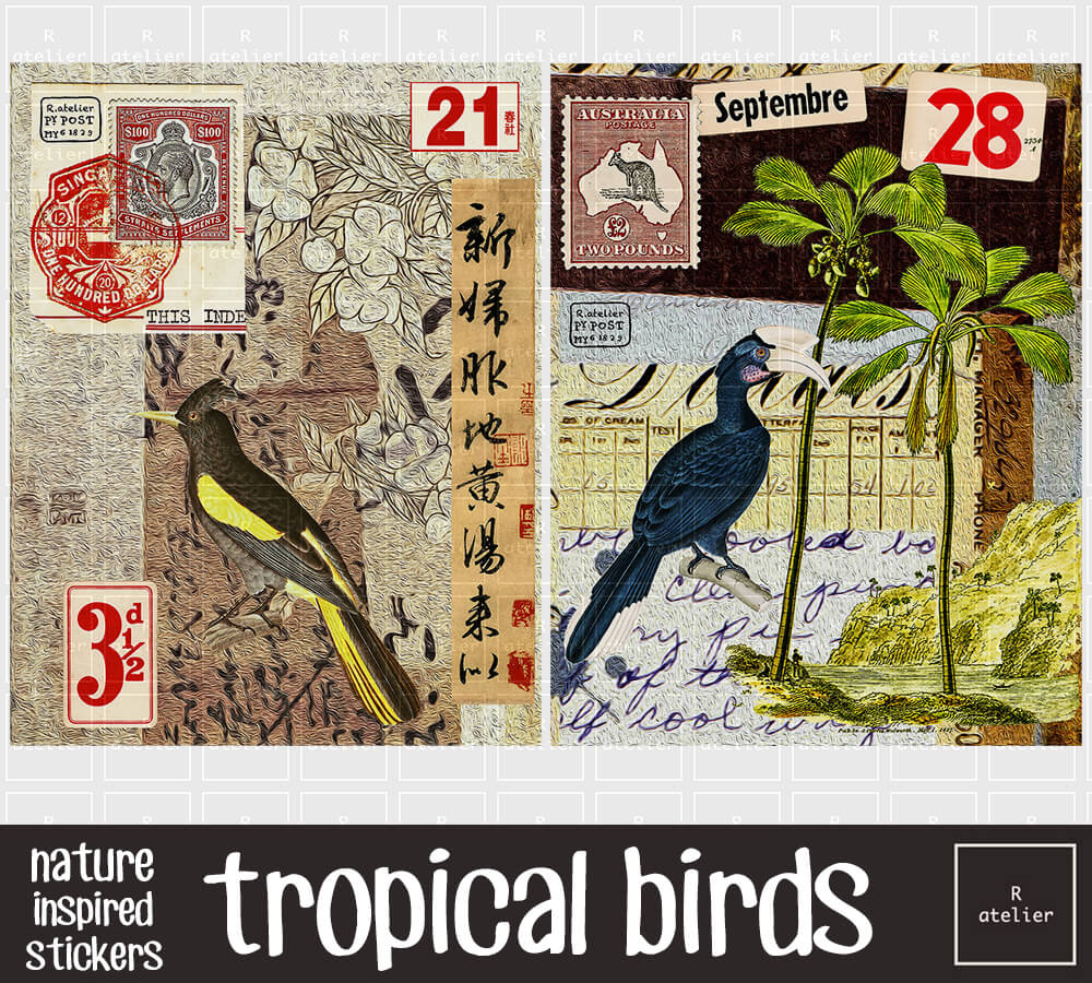 Tropical Birds | Scrapbooking Washi Stickers