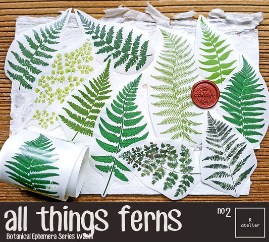 all things ferns (2) Washi