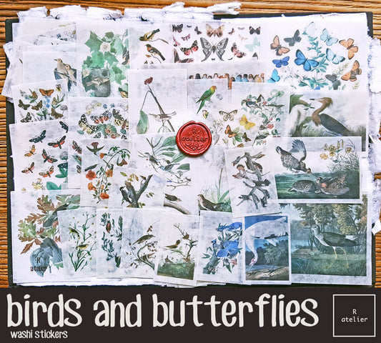 birds & butterflies | Washi Stickers