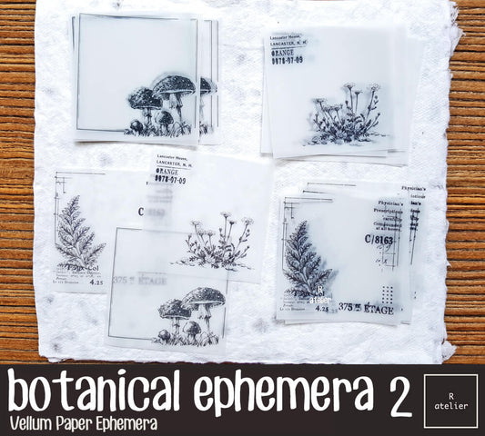 Botanical Ephemera (2) | Vellum Note Paper Ephemera