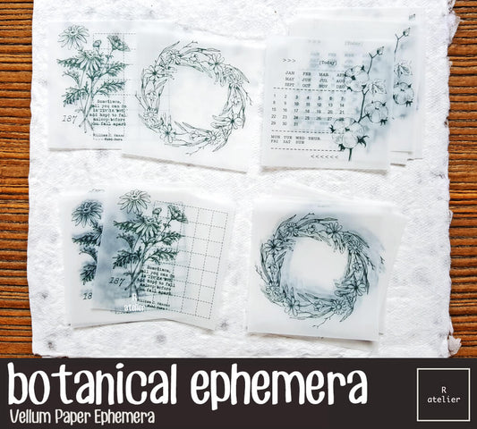 Botanical Ephemera (1) | Vellum Note Paper Ephemera