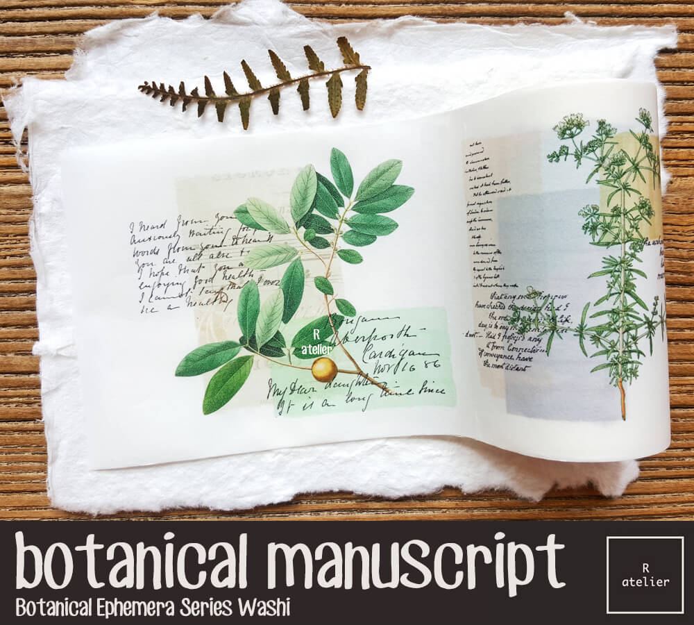 Botanical Manuscript Washi