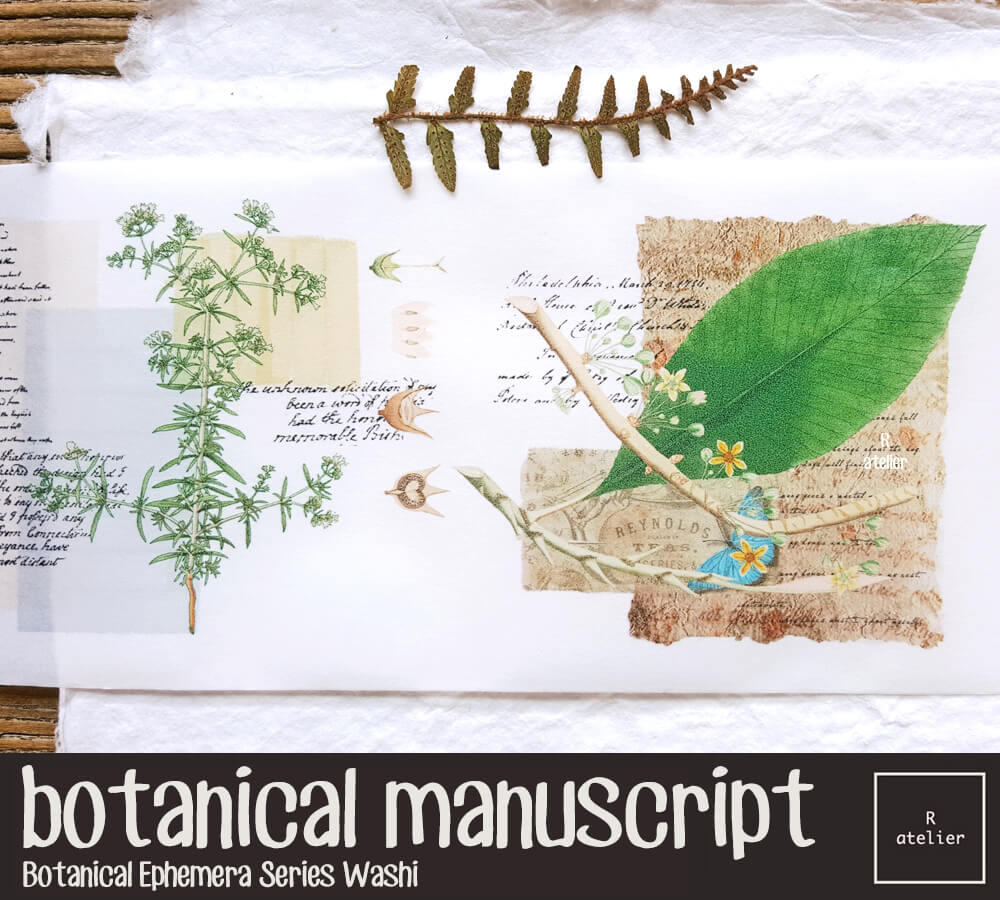 Botanical Manuscript Washi