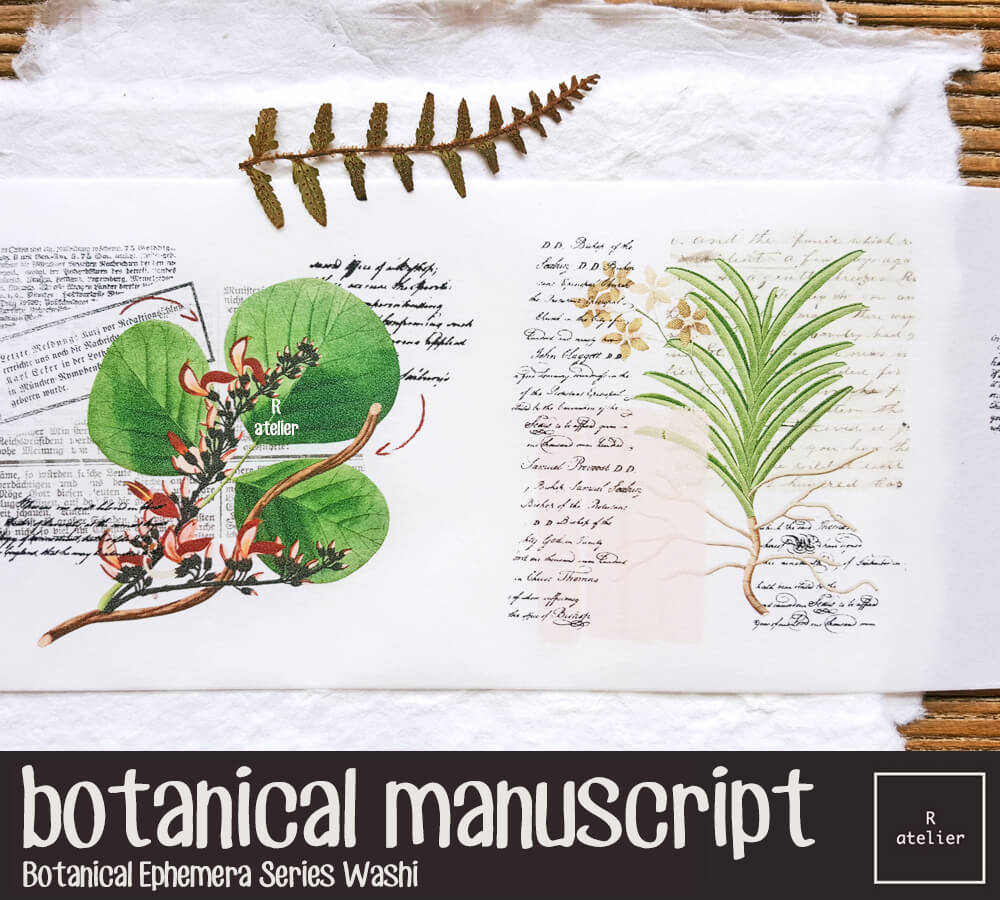 Botanical Manuscript Washi