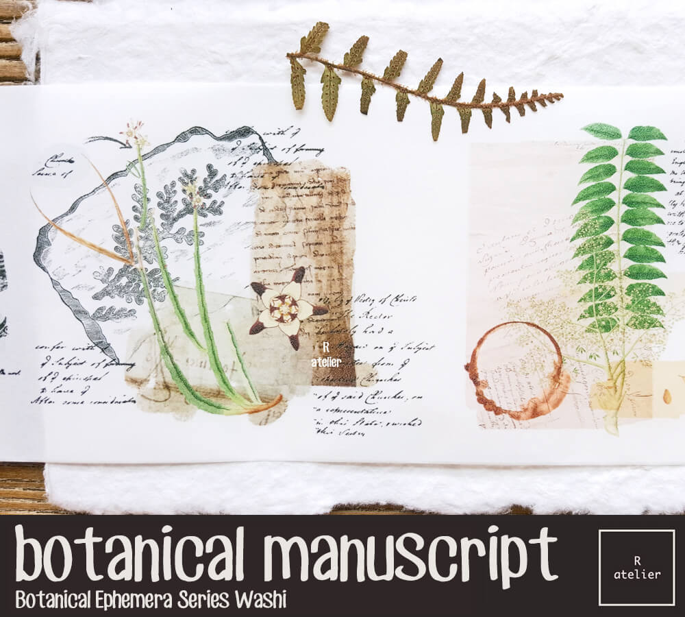 Botanical Manuscript Washi