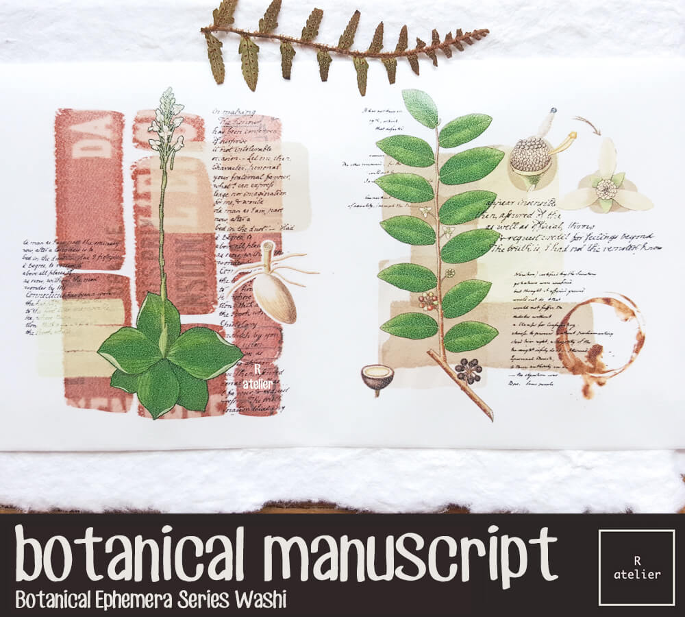 Botanical Manuscript Washi