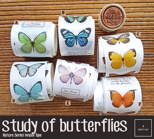 Study of Butterflies Washi