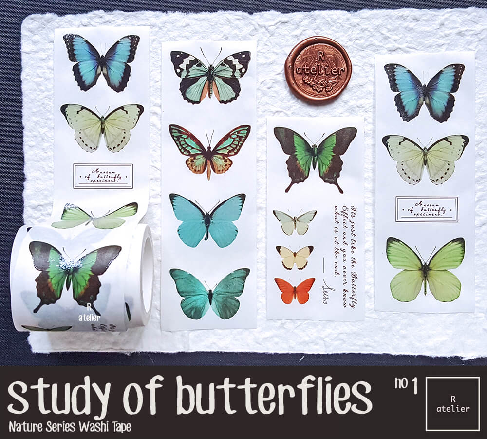 Study of Butterflies Washi